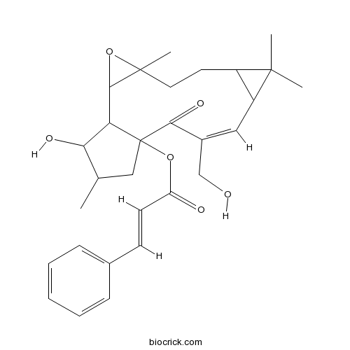 Jolkinol A