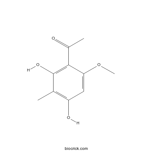 Ebracteolata cpd B