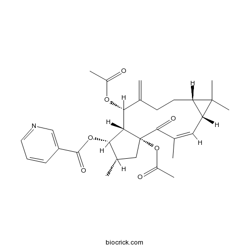 大戟因子L8