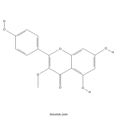 Isokaempferide