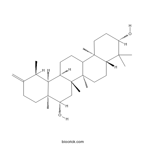 Arnidiol