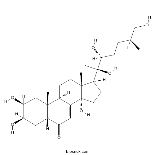 25S-Inokosterone