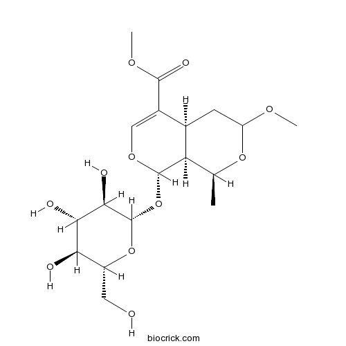 7-O-Methyl morroniside