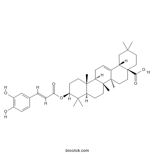 3-O-カフェオイルオレアノール酸