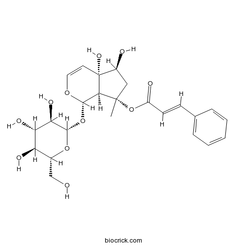 6-Epiharpagoside