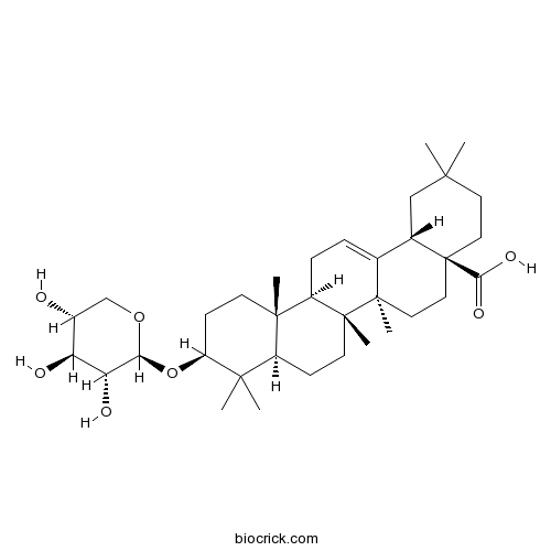 齐墩果酸-3-O-β-D 木糖苷