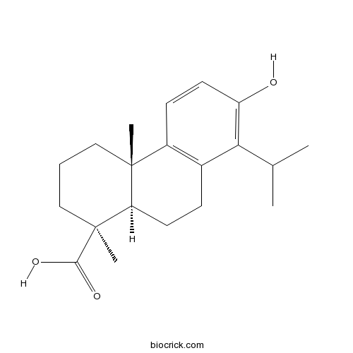 4beta-Carboxy-19-nortotarol