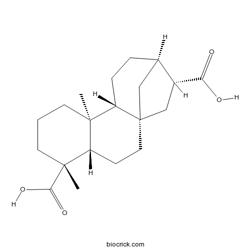 ent-贝壳烯烷-17,19-二酸