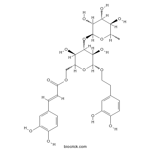 Isoacteoside