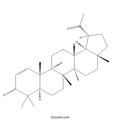 Glochidone