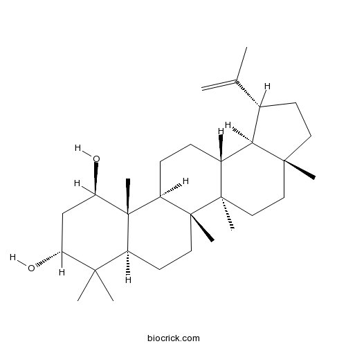 Glochidiol