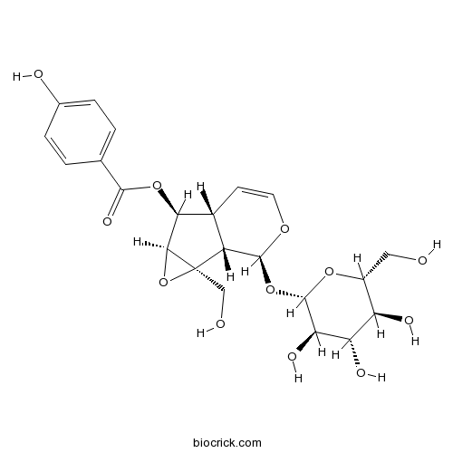 Catalposide