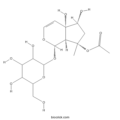 8-O-乙酰哈巴苷