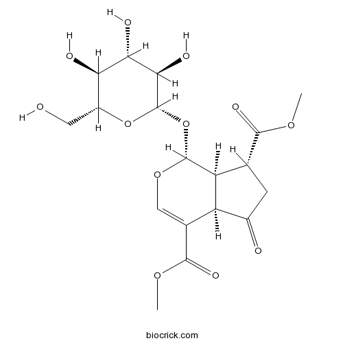 Griselinoside