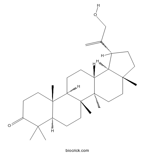 30-羟基羽扇-20(29)-烯-3-酮
