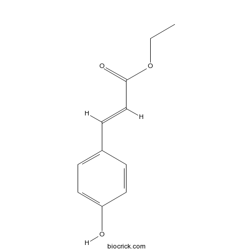 p-Coumaric acid ethyl ester