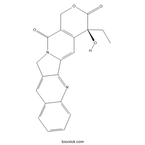 Camptothecin