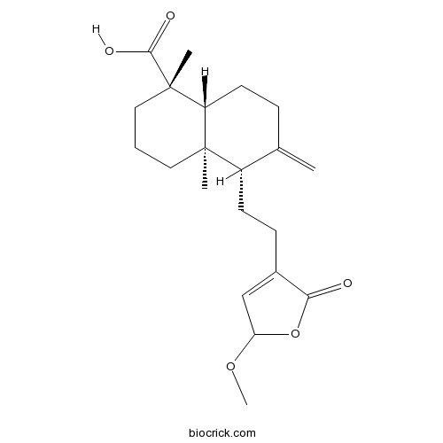 15-メトキシピヌソリド酸