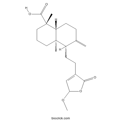 15-Methoxypinusolidic acid