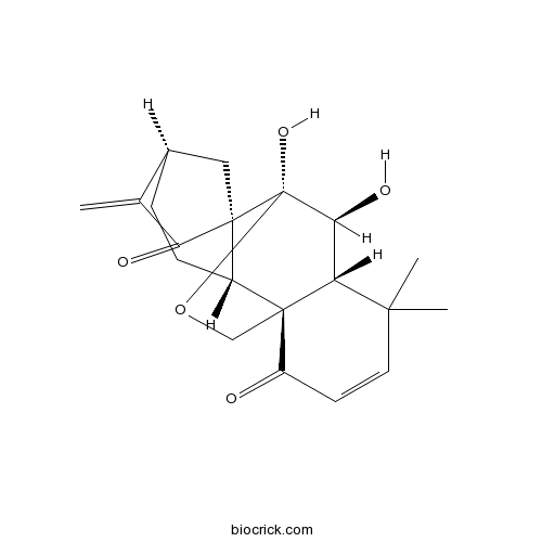 Eriocalyxin B