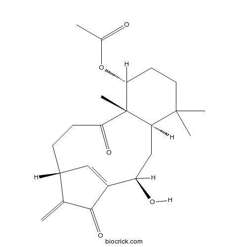 Kongensin A