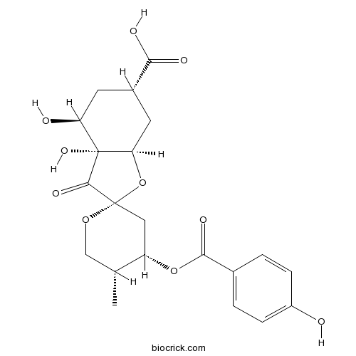 Glochicoccin D