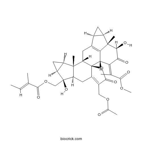 Chlorahololide D