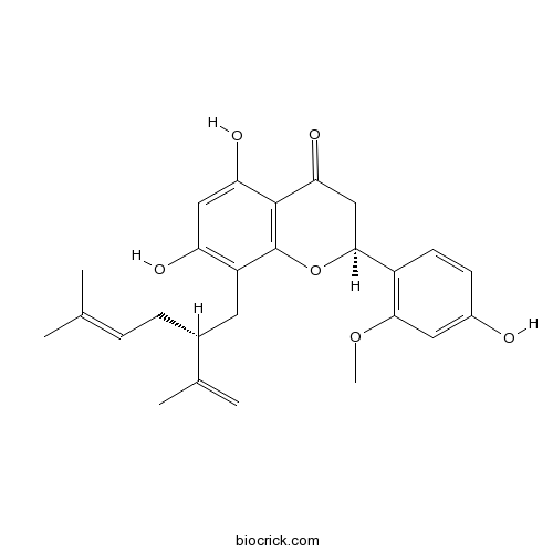 Leachianone A