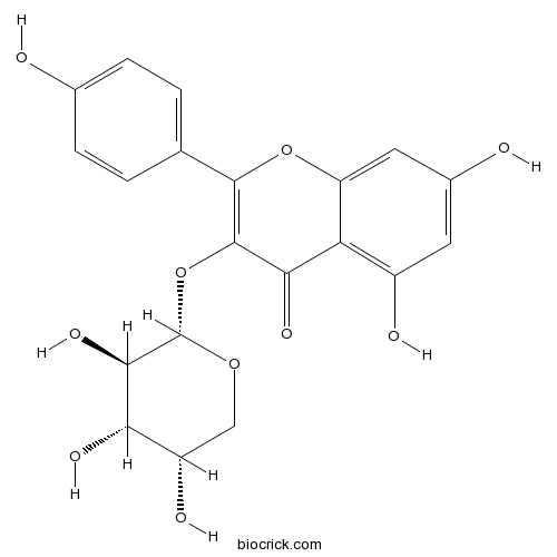 ケンペロール 3-O-アラビノシド