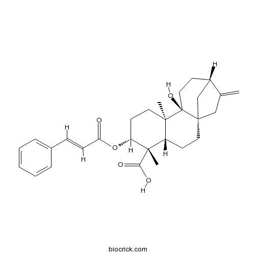 3alpha-肉桂酰氧基-9beta-羟基-对映-贝壳杉-16-烯-19-酸