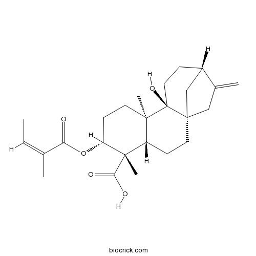 3α-アンゲロイルオキシプテロカウランL3