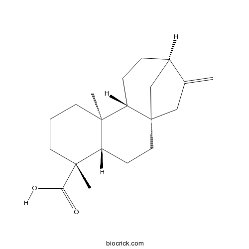 Kaurenoic acid