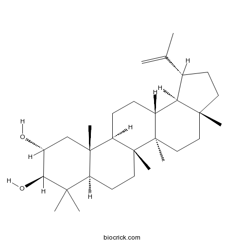 Lup-20(29)-ene-2alpha,3beta-diol