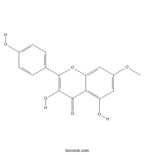 Rhamnocitrin