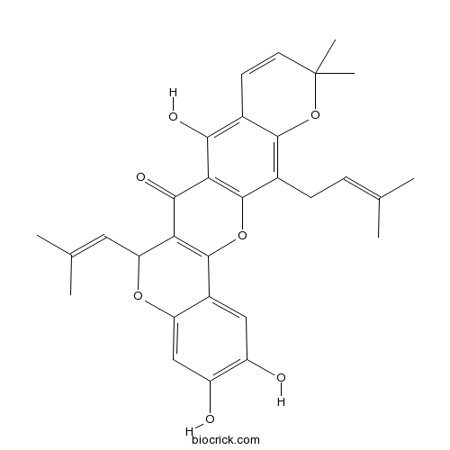 异叶波罗蜜环黄酮素