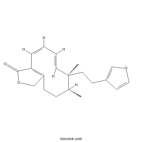 Dodonolide