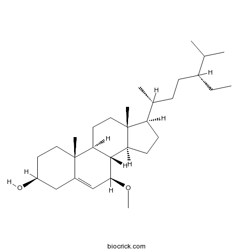 Schleicheol 1