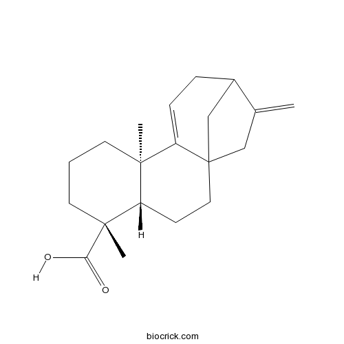 Grandiflorenic acid