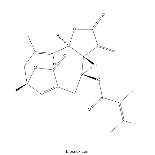 Scabertopin