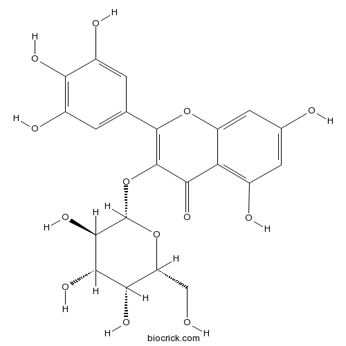 Myricetin 3-O-galactoside