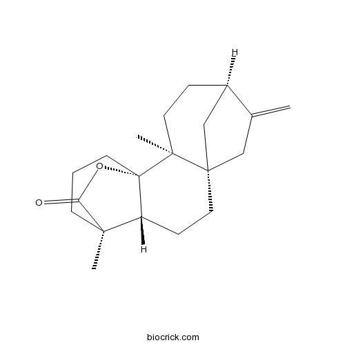 Tetrachyrin