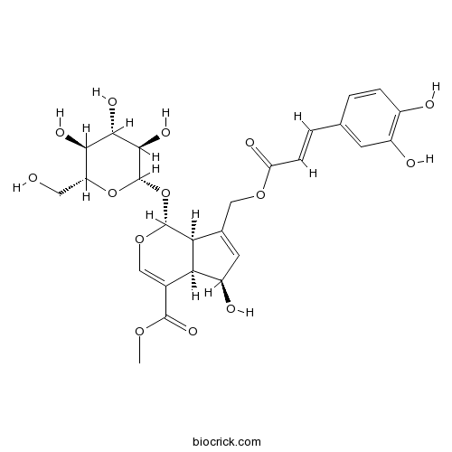 10-O-咖啡酰基-脱乙酰基交让木苷