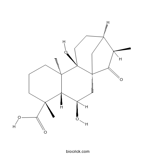 Pterisolic acid D