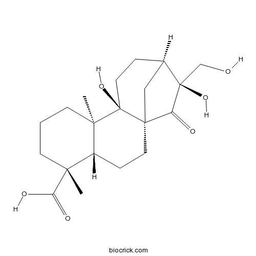 Pterisolic acid F