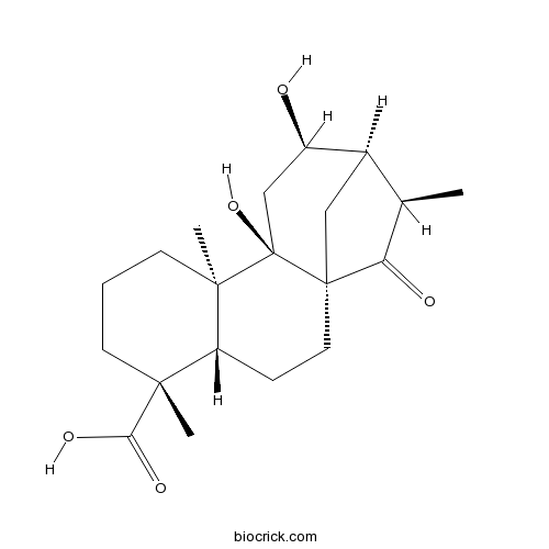 Pterisolic acid E