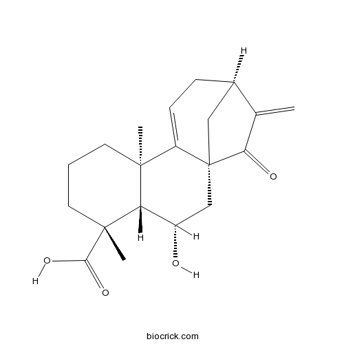 Pterisolic acid B