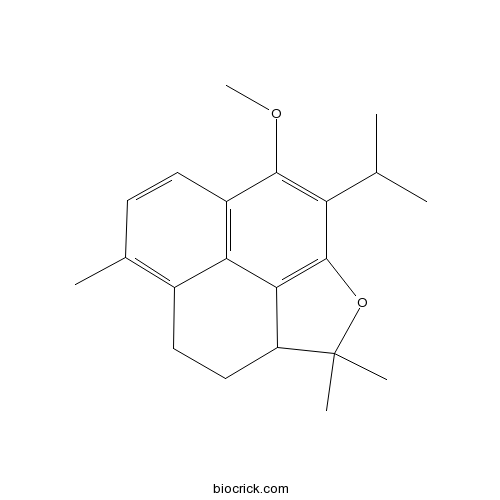 红根草种素