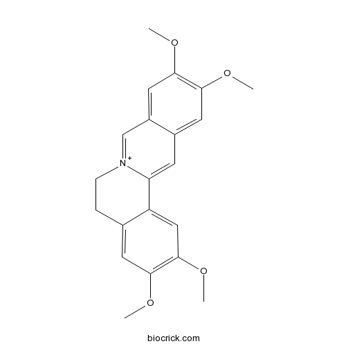 Pseudopalmatine