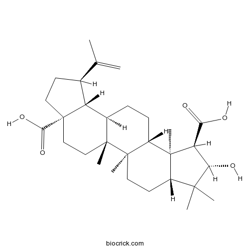 美洲茶酸