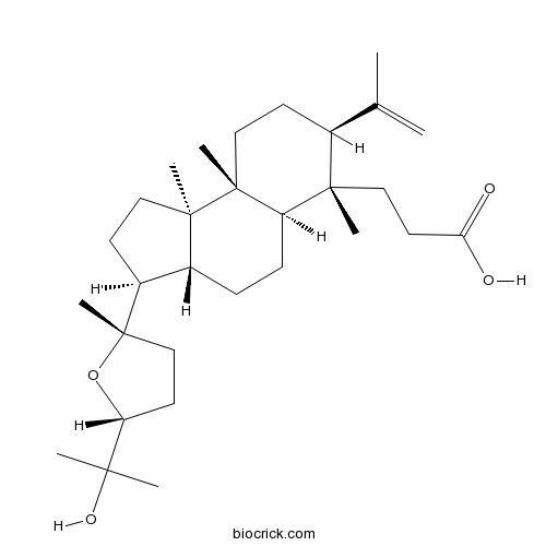 Shoreic acid